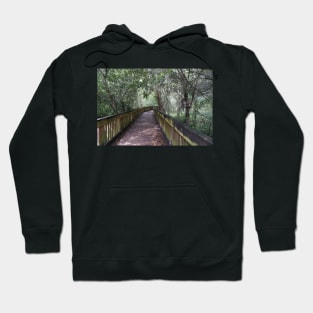 Hiking Florida Marsh Hoodie